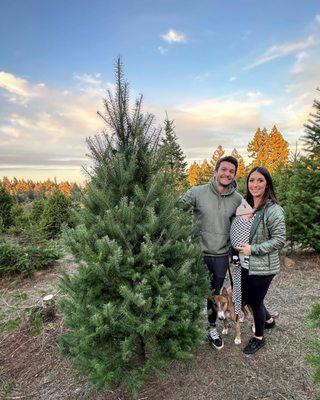 Mountain Charlie Christmas Tree Ranch