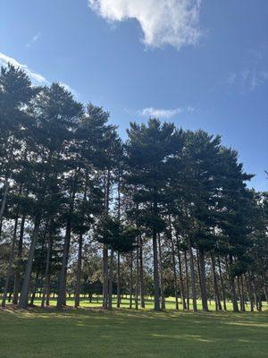 Whitetail Golf Course