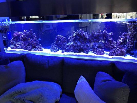 130 gallon custom tank...thank you Travis!