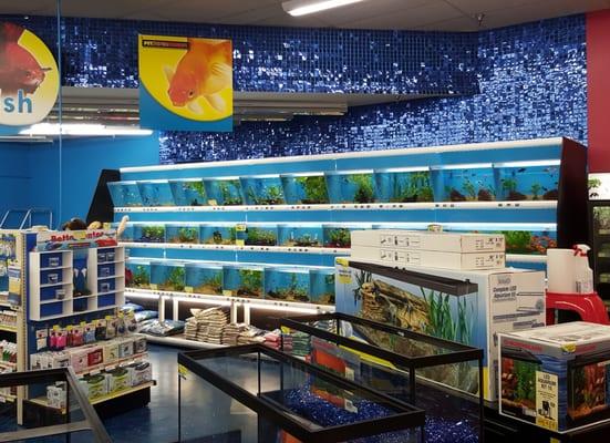 Beautifully merchandised and no no no, this is not the seafood section!