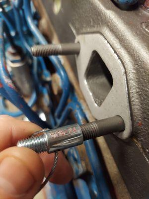 Bay Marine Diesel and Diving