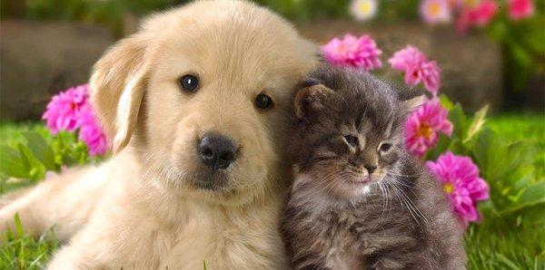 Lawrence H Blinderman Insurance