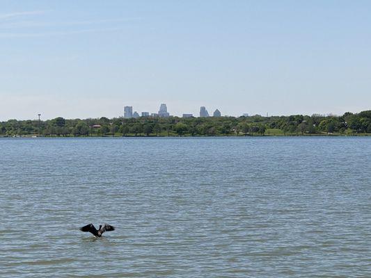 Sol Dreyfuss Memorial Point