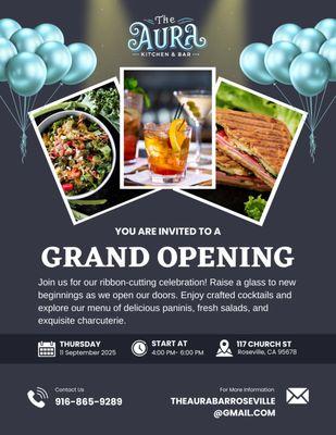 I appreciate You and Your professionalism!!! Thank You for all your hard work and dedication to helping me open The Aura with a bang!!!