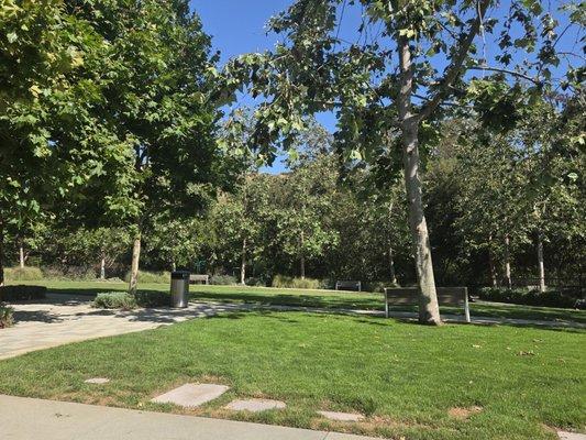 Playa Vista Sports Park