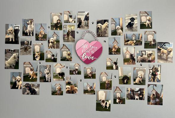 Dog Grooming Clients - Doggie Style Pet Spa & Boutique