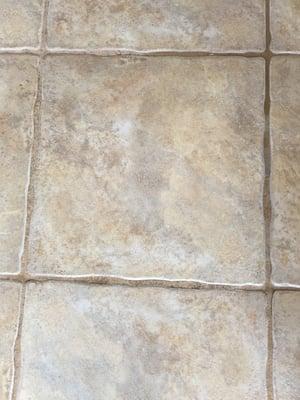 First Choice Carpet and Tile Care