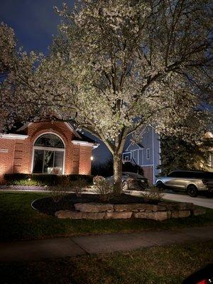 landscape lighting near me Novi