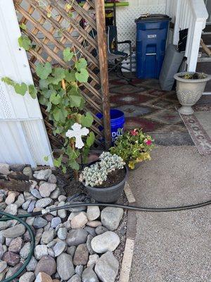 Rozet Landscape Design