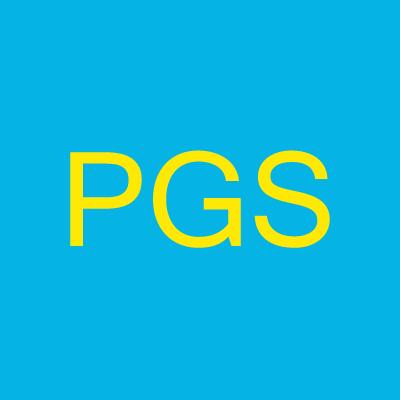 Professional Gutter Systems