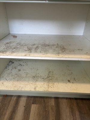 This is a picture of a closet before I clean it