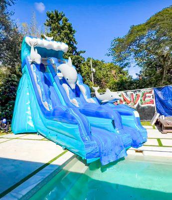 Dolphin Slide 19' feet tall
