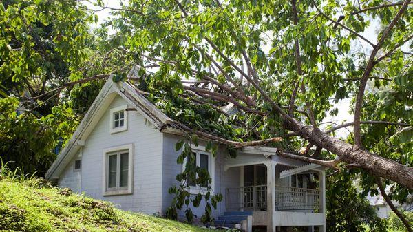 Storm Kat Roofing