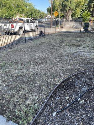 Safety First Tree Care