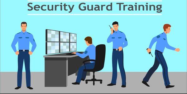 Tailored Learning Academy