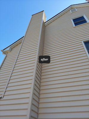 Reliable Pressure Washing