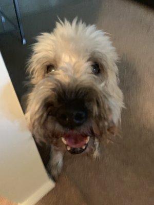 Gigi thanking her hosts