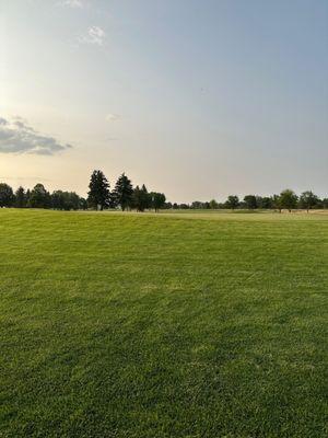 Elmwood Public Golf Course