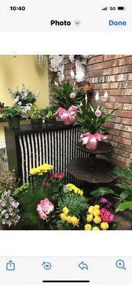 Peace Lilly plants, Yellow Mums