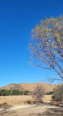 Quigley Canyon Open Space