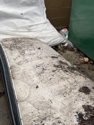 Thank goodness the garbage men came yesterday, but nasty still