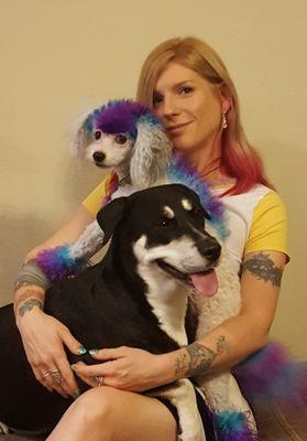 Groom Stars mobile pet spa