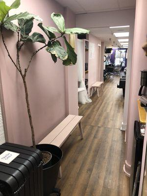 Paloma Blush Room
