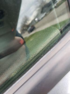 Auto Oasis Detailing