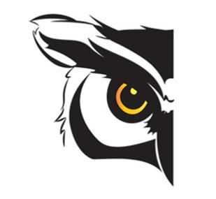 Sofia Information Technology Consulting