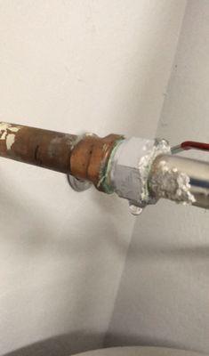 Loyalty Home Services