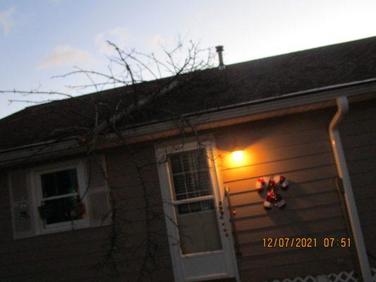 D&P Property Management