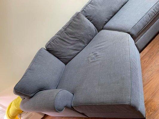 Steam Master Cleaning Services