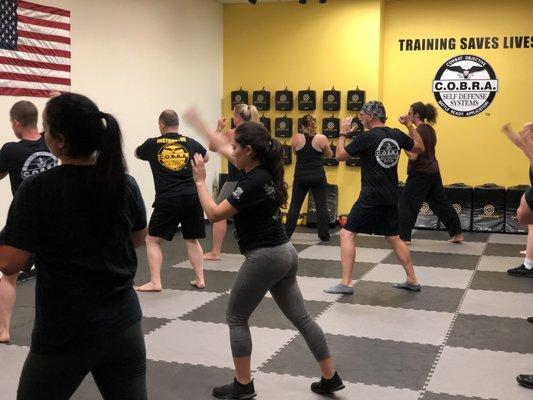 C.O.B.R.A. Self Defense Va