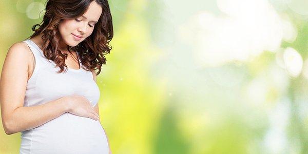 Lifetime Family Wellness and Chiropractic and Education Center
