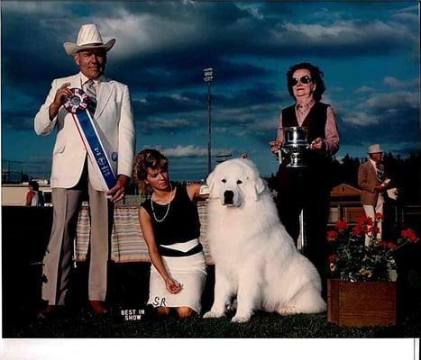 Animal House Pet Care and Salon