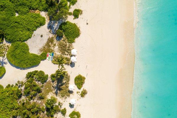 The Turks and Caicos Company
