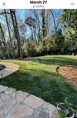 Arbor-Nomics Turf, Inc. Lawn Care Services & Grass Treatment