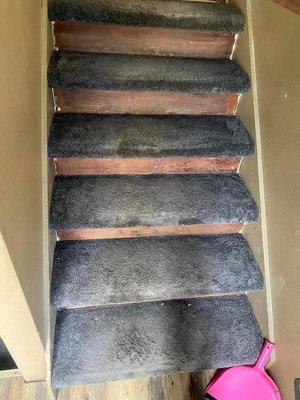 Clean Scene Pro Wash