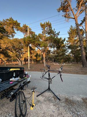 Enjoying the office.