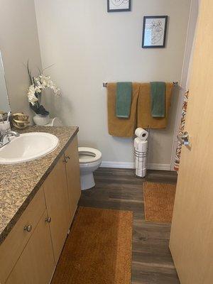 Meticulous Cleaning & Organizing LLC