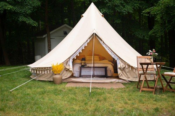 The Canvas Experience