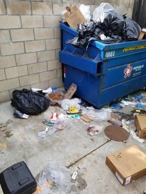 Jaedyn's Treehouse Termite&Pest