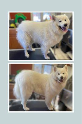 Sunset Creek Dog Grooming