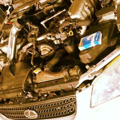 Mola M Auto Repair Group