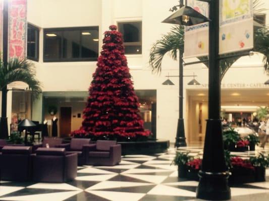 Greenville Hospital System