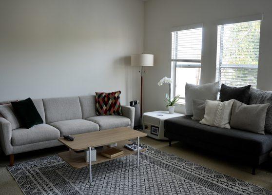 Ray cleaning services