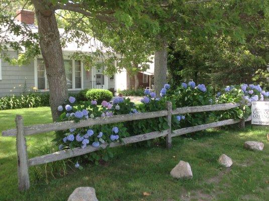 Mccormick's Cape Cod Cottages