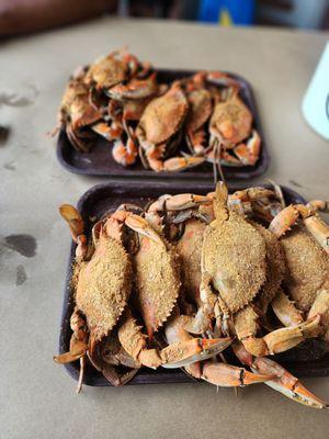 Fisherman's Crab Deck