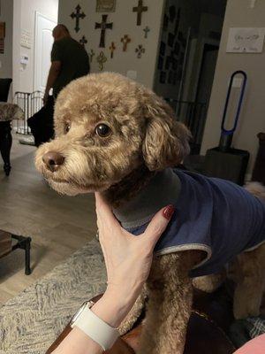 Autumn's Pampered Paws