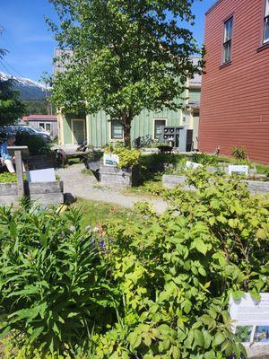 First Bloom Native Plant Garden